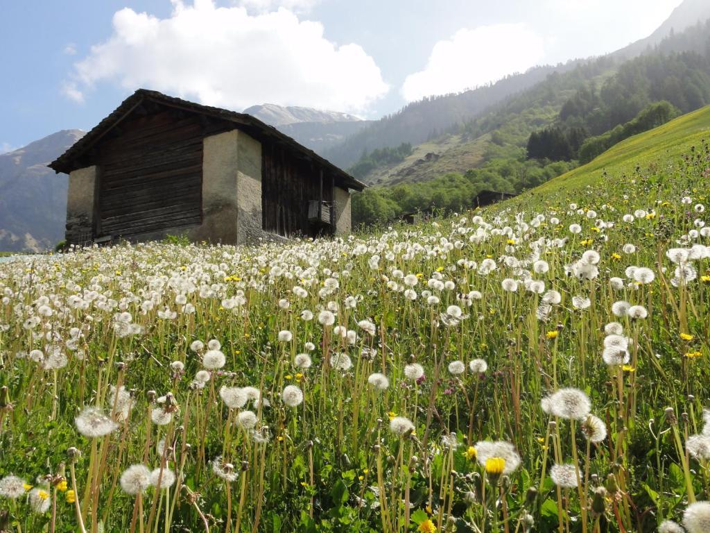 Appartement Mura Vals