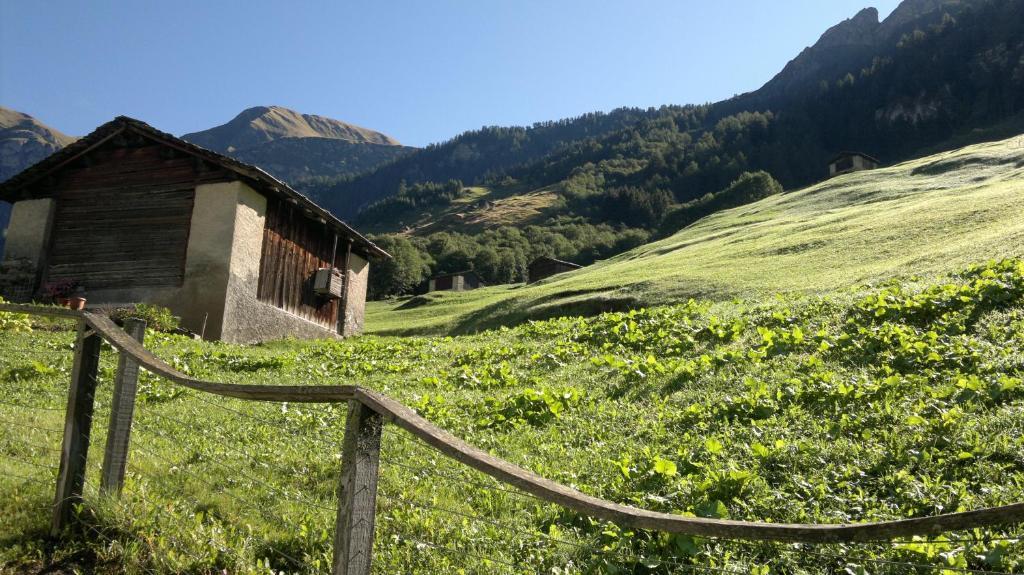 Mura Appartement Vals