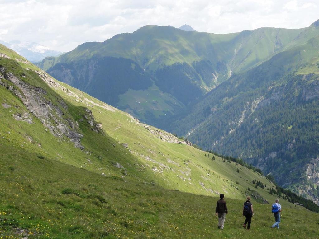 Mura * Vals